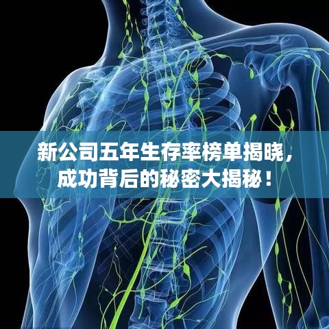 新公司五年生存率榜單揭曉，成功背后的秘密大揭秘！