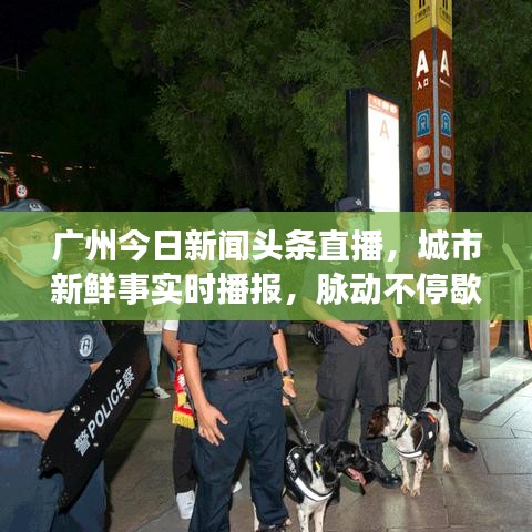 廣州今日新聞頭條直播，城市新鮮事實(shí)時播報(bào)，脈動不停歇