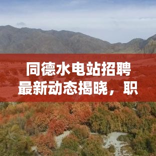 同德水電站招聘最新動態(tài)揭曉，職位空缺與公告更新全解析