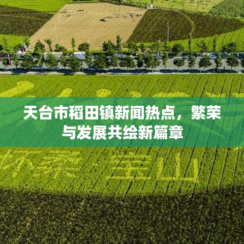 天臺市稻田鎮(zhèn)新聞熱點，繁榮與發(fā)展共繪新篇章