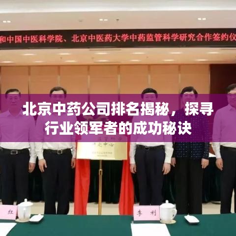 北京中藥公司排名揭秘，探尋行業(yè)領(lǐng)軍者的成功秘訣