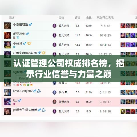 認證管理公司權(quán)威排名榜，揭示行業(yè)信譽與力量之巔
