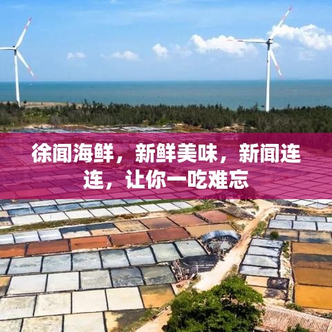 徐聞海鮮，新鮮美味，新聞連連，讓你一吃難忘
