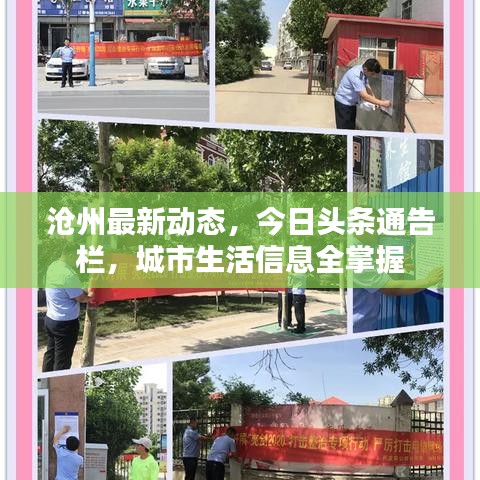 滄州最新動(dòng)態(tài)，今日頭條通告欄，城市生活信息全掌握
