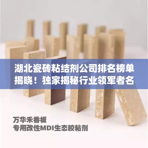 湖北瓷磚粘結(jié)劑公司排名榜單揭曉！獨(dú)家揭秘行業(yè)領(lǐng)軍者名單！