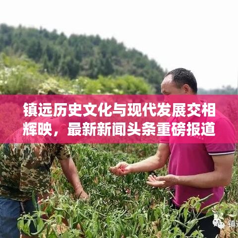 鎮(zhèn)遠歷史文化與現(xiàn)代發(fā)展交相輝映，最新新聞頭條重磅報道