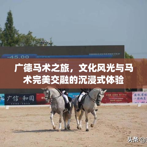 廣德馬術之旅，文化風光與馬術完美交融的沉浸式體驗