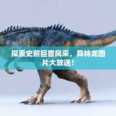 探索史前巨獸風采，異特龍圖片大放送！
