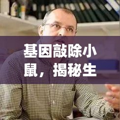 基因敲除小鼠，揭秘生命科學神秘工具之旅