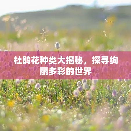 杜鵑花種類大揭秘，探尋絢麗多彩的世界