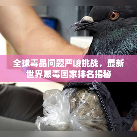 全球毒品問題嚴峻挑戰(zhàn)，最新世界販毒國家排名揭秘
