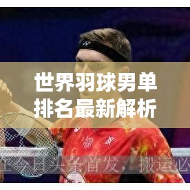 世界羽球男單排名最新解析，精英選手實(shí)力對比，排名大揭秘！