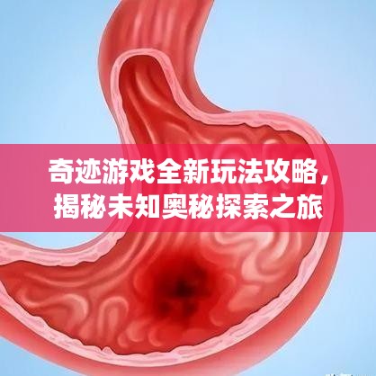 奇跡游戲全新玩法攻略，揭秘未知奧秘探索之旅