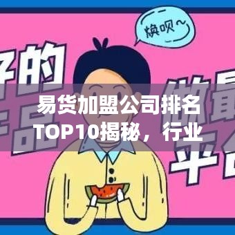 易貨加盟公司排名TOP10揭秘，行業(yè)領(lǐng)軍者的成功奧秘探索