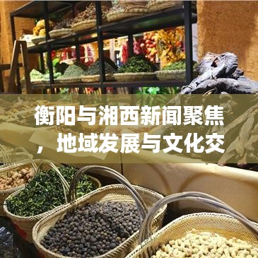 衡陽(yáng)與湘西新聞聚焦，地域發(fā)展與文化交融引領(lǐng)時(shí)代潮流