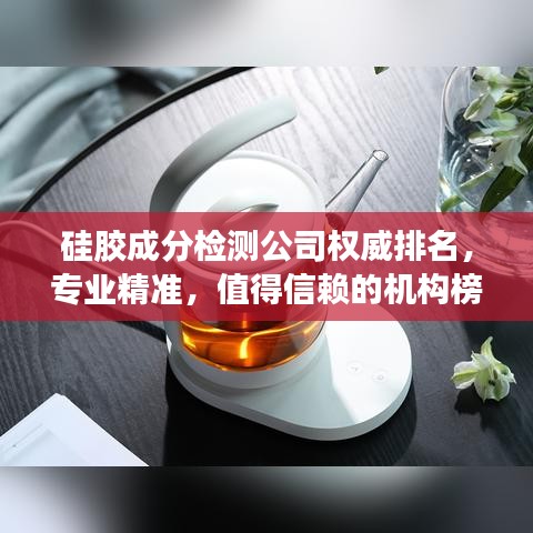 硅膠成分檢測公司權威排名，專業(yè)精準，值得信賴的機構榜單