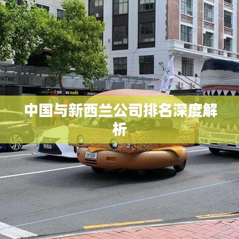 中國與新西蘭公司排名深度解析
