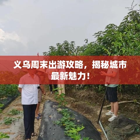 義烏周末出游攻略，揭秘城市最新魅力！