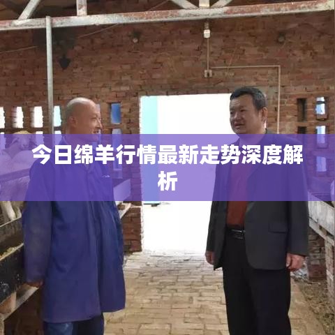 今日綿羊行情最新走勢深度解析