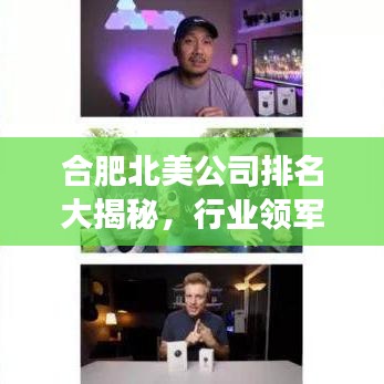 合肥北美公司排名大揭秘，行業(yè)領軍者的成功秘訣探尋！