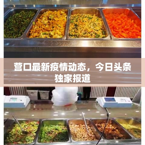 營口最新疫情動(dòng)態(tài)，今日頭條獨(dú)家報(bào)道