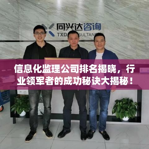 信息化監(jiān)理公司排名揭曉，行業(yè)領(lǐng)軍者的成功秘訣大揭秘！