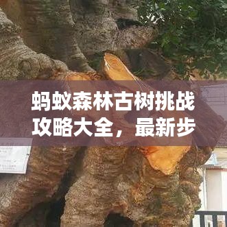 螞蟻森林古樹挑戰(zhàn)攻略大全，最新步驟解析，輕松玩轉(zhuǎn)古樹挑戰(zhàn)！