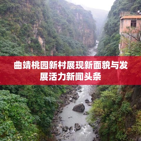 曲靖桃園新村展現新面貌與發(fā)展活力新聞頭條