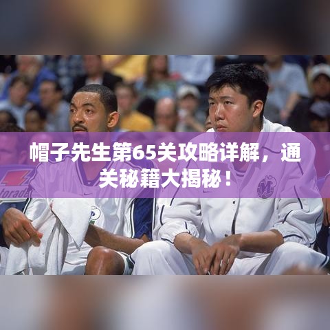 帽子先生第65關攻略詳解，通關秘籍大揭秘！