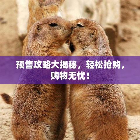 預(yù)售攻略大揭秘，輕松搶購，購物無憂！