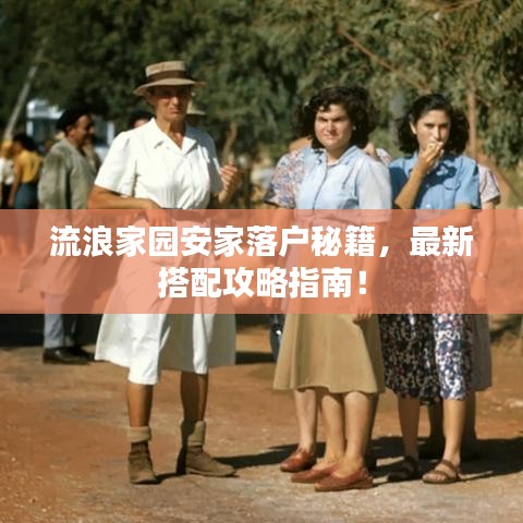 流浪家園安家落戶秘籍，最新搭配攻略指南！