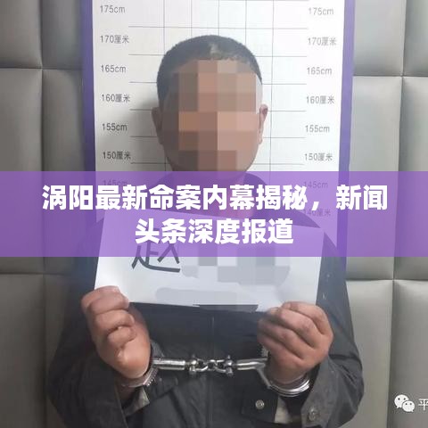 渦陽最新命案內(nèi)幕揭秘，新聞?lì)^條深度報(bào)道