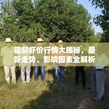 霍邱蝦價行情大揭秘，最新走勢、影響因素全解析