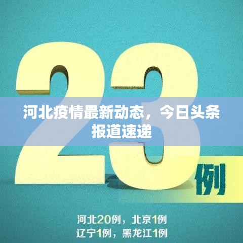 河北疫情最新動(dòng)態(tài)，今日頭條報(bào)道速遞
