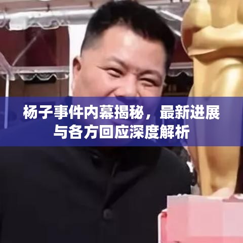 楊子事件內(nèi)幕揭秘，最新進(jìn)展與各方回應(yīng)深度解析
