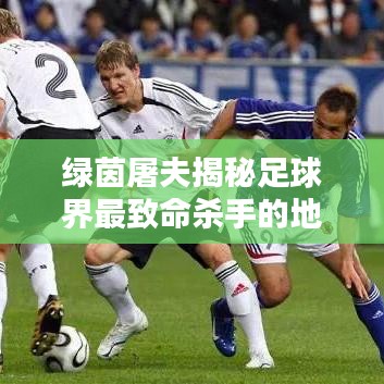 綠茵屠夫揭秘足球界最致命殺手的地位與實力排名