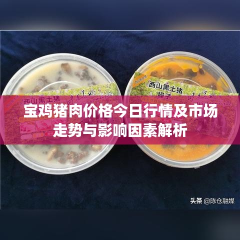寶雞豬肉價格今日行情及市場走勢與影響因素解析