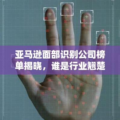 亞馬遜面部識(shí)別公司榜單揭曉，誰是行業(yè)翹楚？