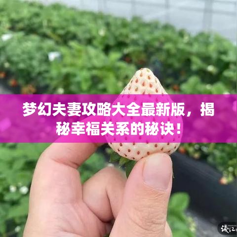 夢(mèng)幻夫妻攻略大全最新版，揭秘幸福關(guān)系的秘訣！