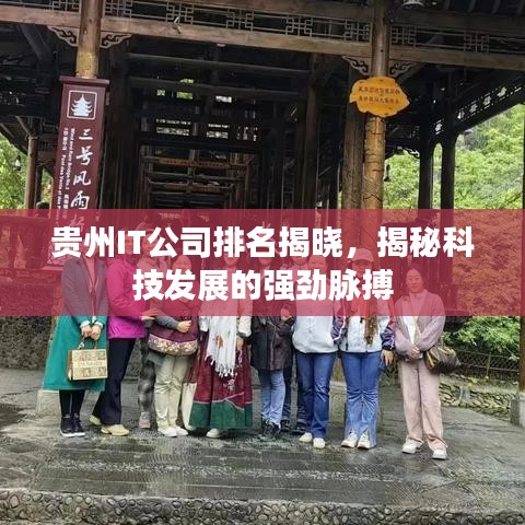 貴州IT公司排名揭曉，揭秘科技發(fā)展的強(qiáng)勁脈搏