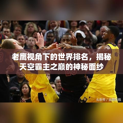 老鷹視角下的世界排名，揭秘天空霸主之巔的神秘面紗