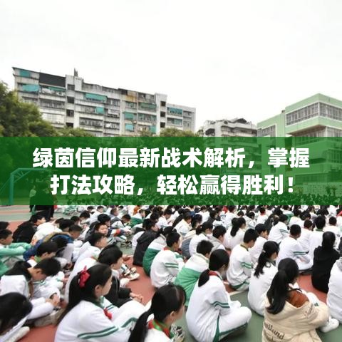 綠茵信仰最新戰(zhàn)術(shù)解析，掌握打法攻略，輕松贏得勝利！