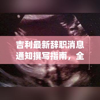吉利最新辭職消息通知撰寫(xiě)指南，全面解讀離職流程，助你順利離職！