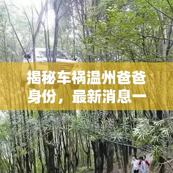 揭秘車禍溫州爸爸身份，最新消息一覽無余