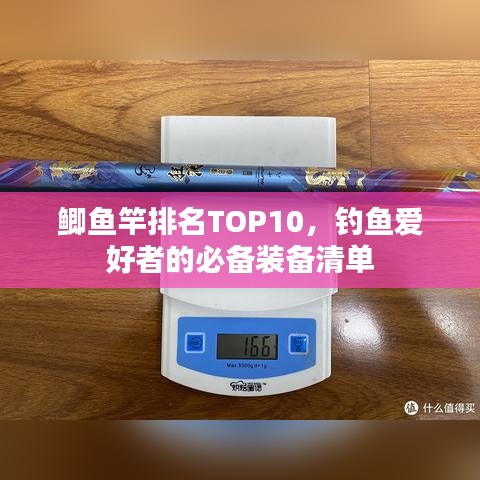 鯽魚竿排名TOP10，釣魚愛好者的必備裝備清單