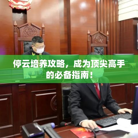 停云培養(yǎng)攻略，成為頂尖高手的必備指南！