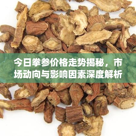 今日拳參價格走勢揭秘，市場動向與影響因素深度解析