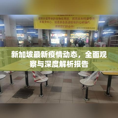 新加坡最新疫情動態(tài)，全面觀察與深度解析報告