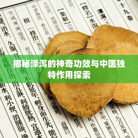 揭秘澤瀉的神奇功效與中醫(yī)獨特作用探索