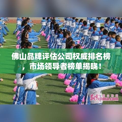 佛山品牌評(píng)估公司權(quán)威排名榜，市場(chǎng)領(lǐng)導(dǎo)者榜單揭曉！